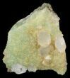 Quartz Crystals on Prehnite - Pakistan #38855-1